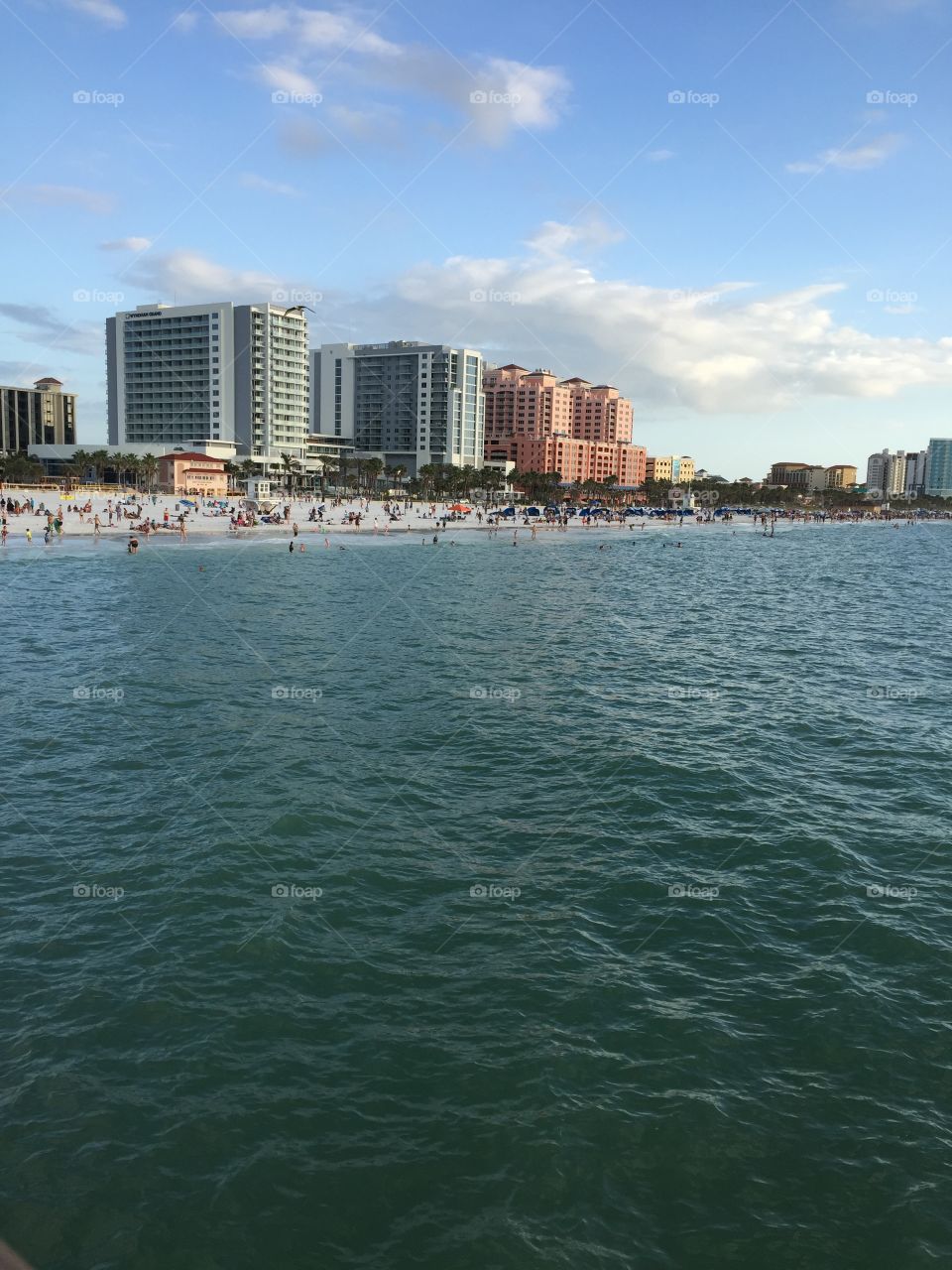 Florida Beach View