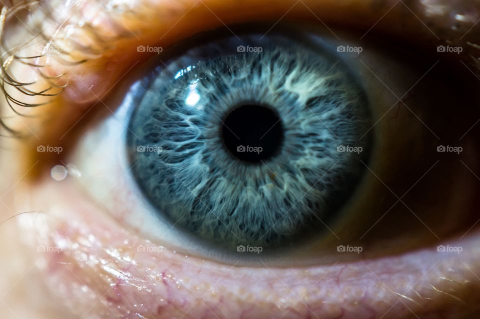 Extreme close-up of blue eye