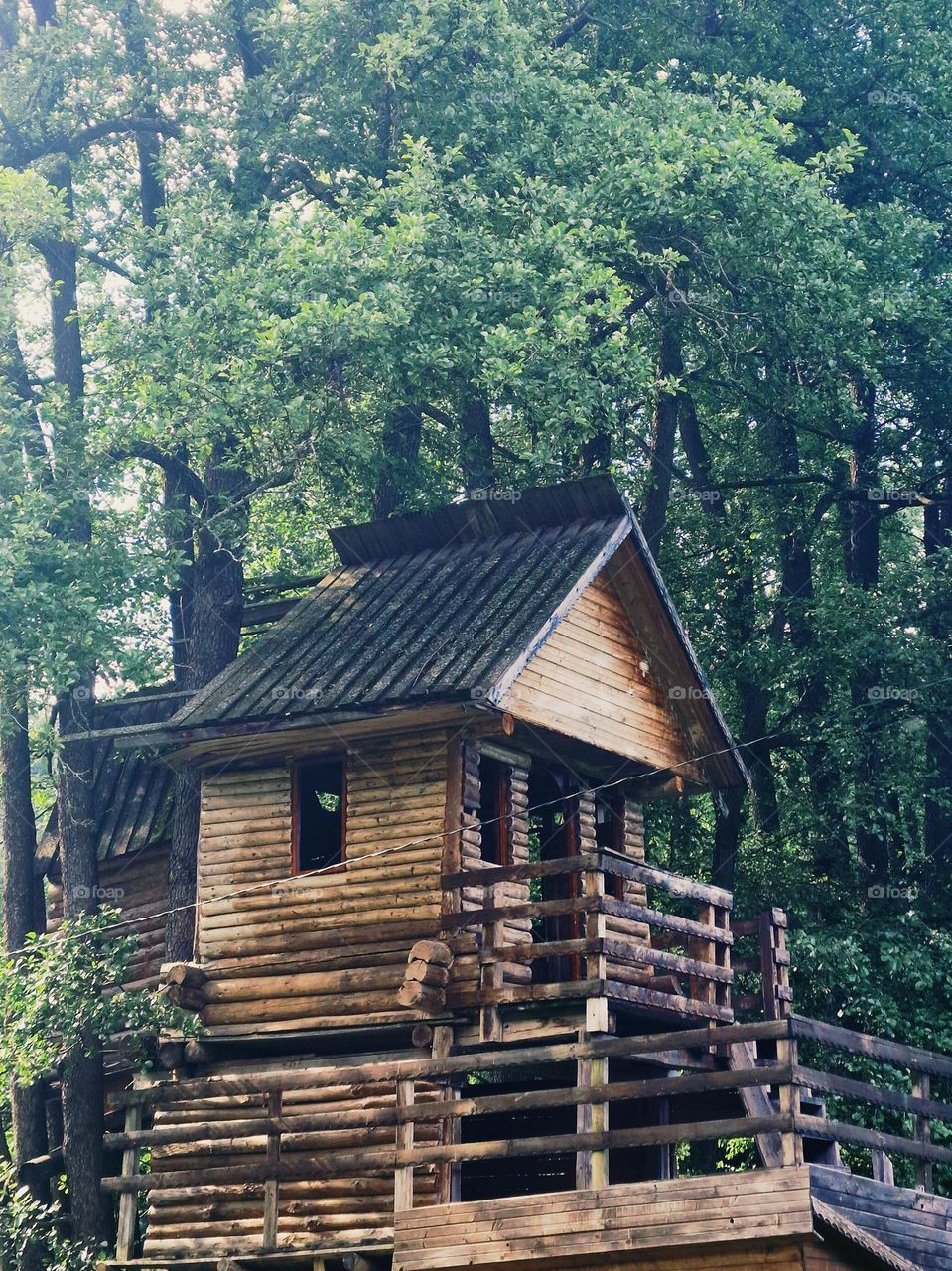 the tree house in the forest