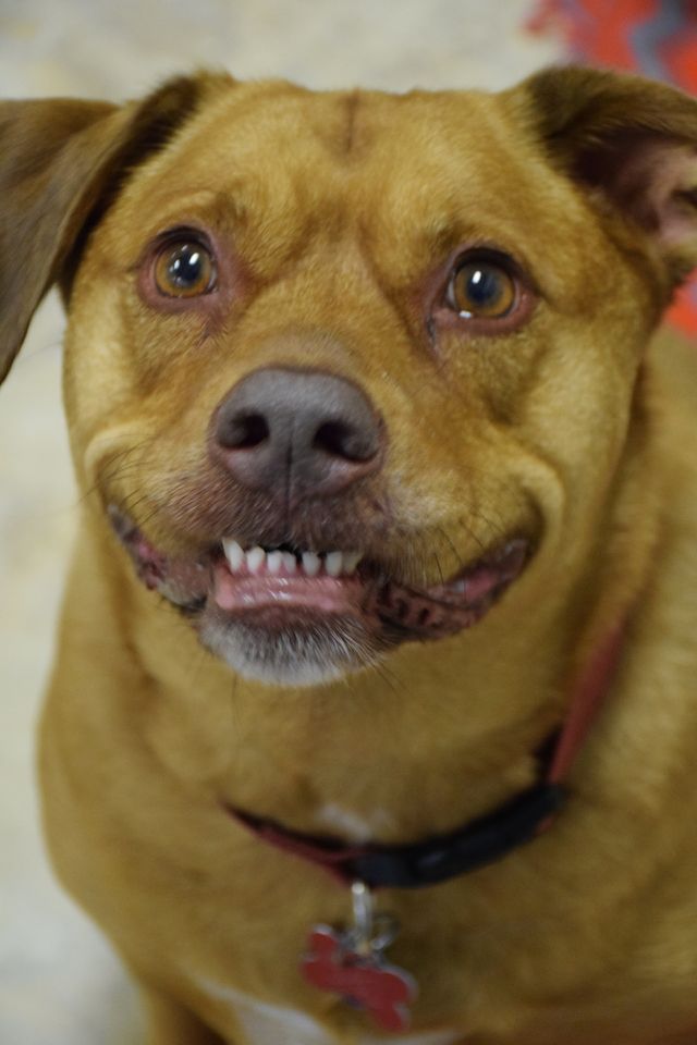 Cheese!