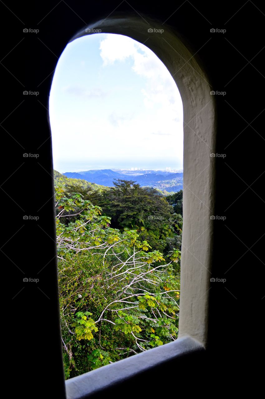 El Yunque rainforest . View of el Yunque rainforest in Puerto Rico from the tower window 
