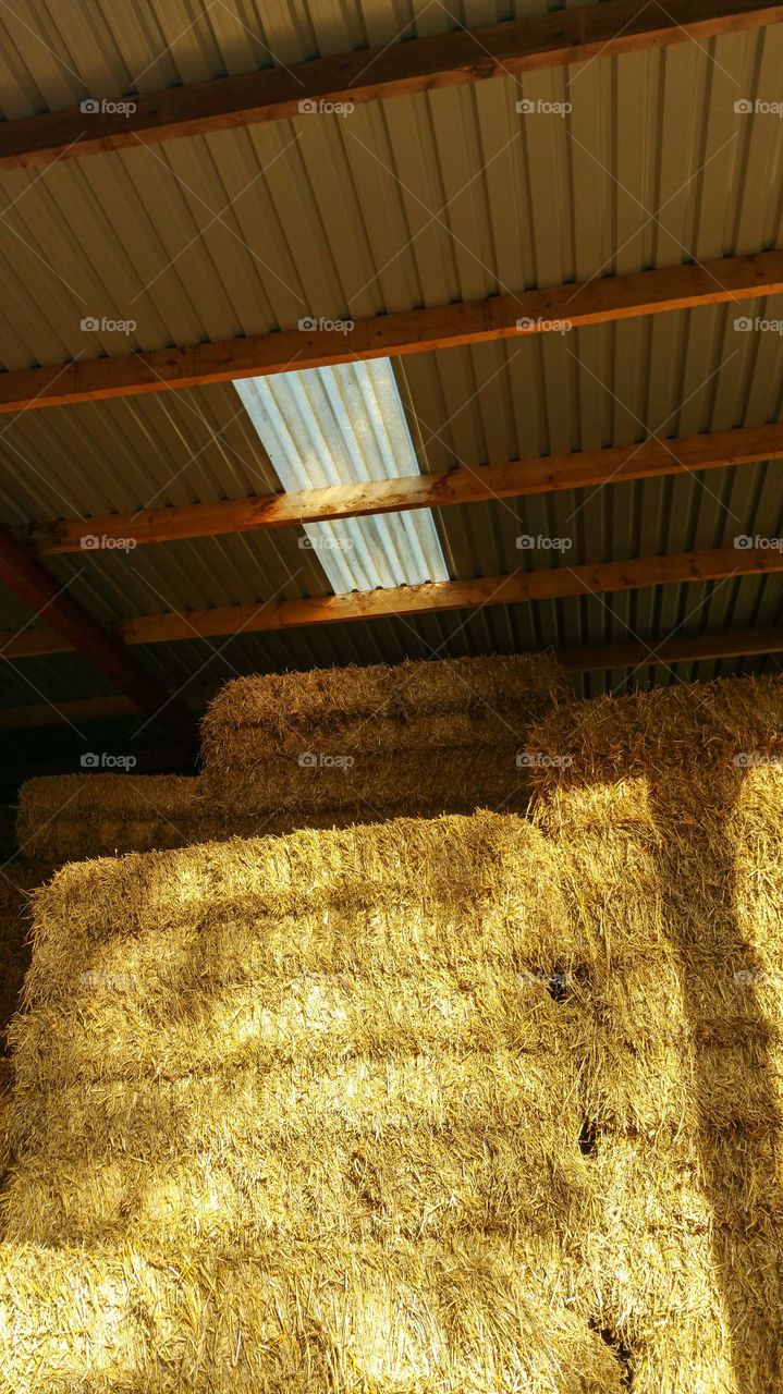 Hay in a barn,  Wales