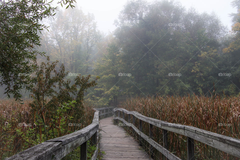 Boardwalk on a foggy morning