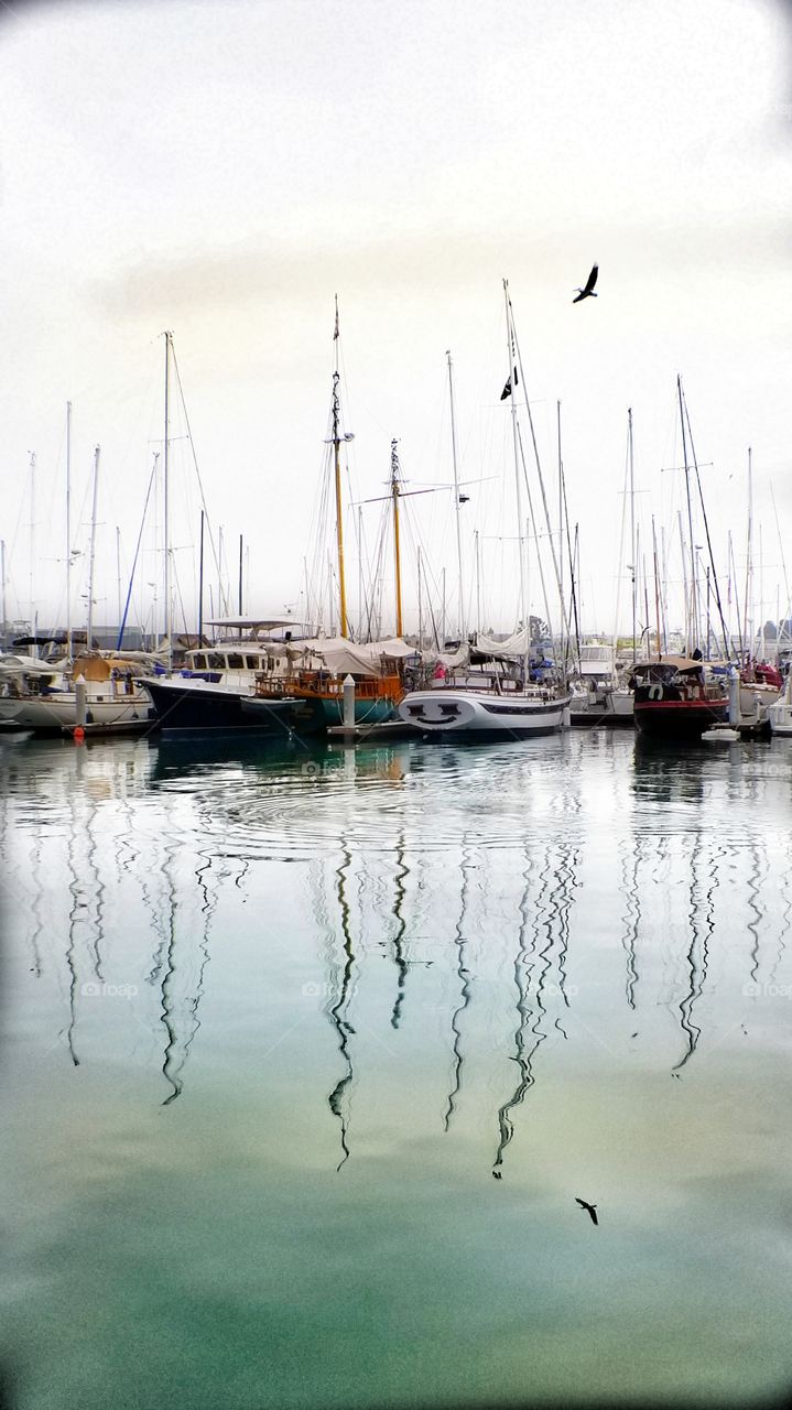 San Diego North Harbor