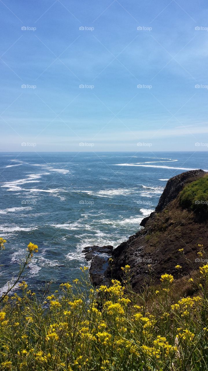 Yaquina Head Oregon Coast