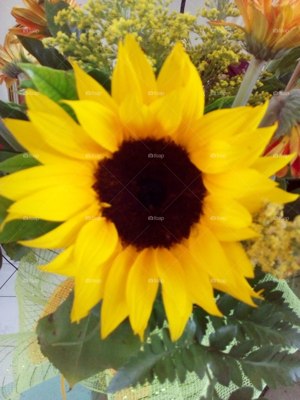 it's a sunflower!