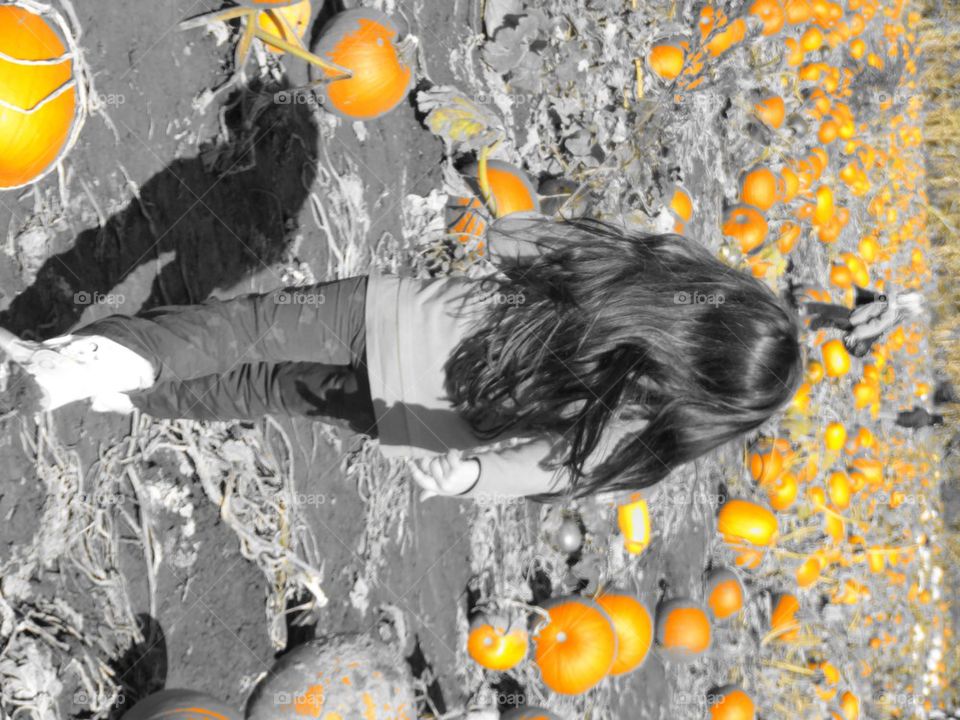 Run to pumpkins