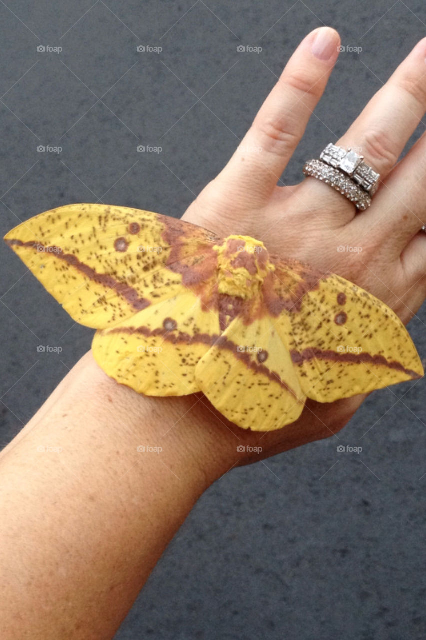 yellow brown ring hand by jerseyjewels