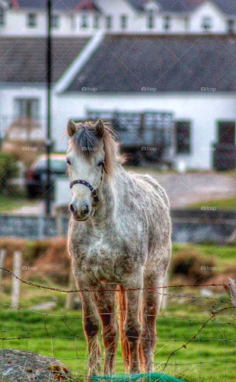 Chilling on Achill Island