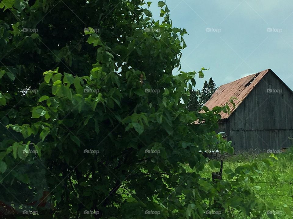 Countryside Barn