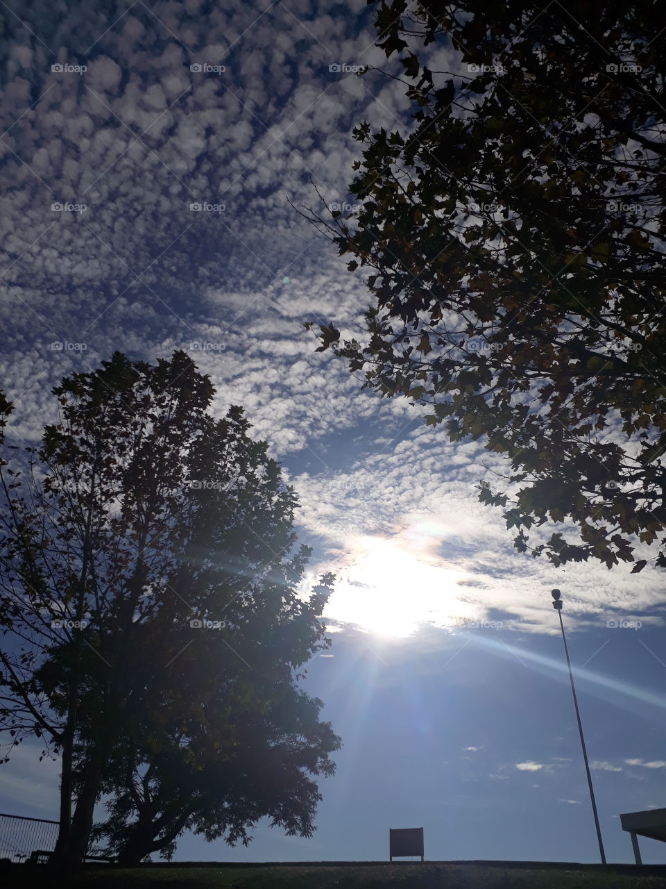 céu com sol e nuvens e natureza