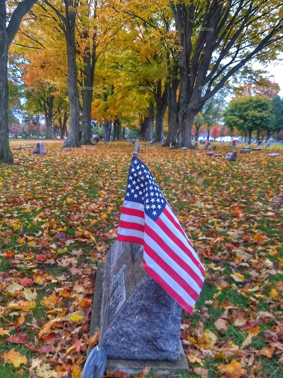 American flag on cemetery stone