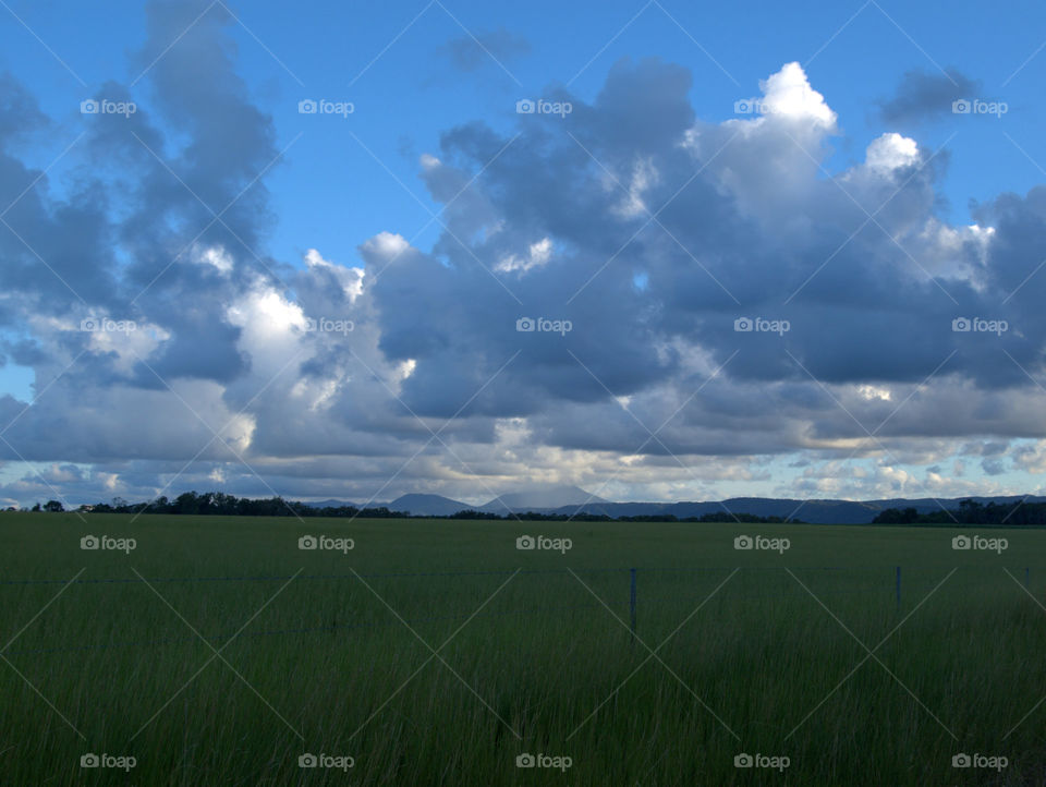 dark clouds on a field