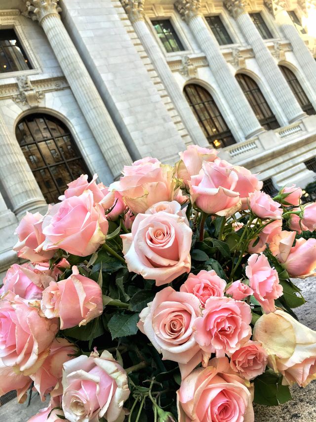 Roses