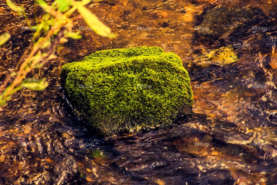 moss covered rock in the middle of a small stream