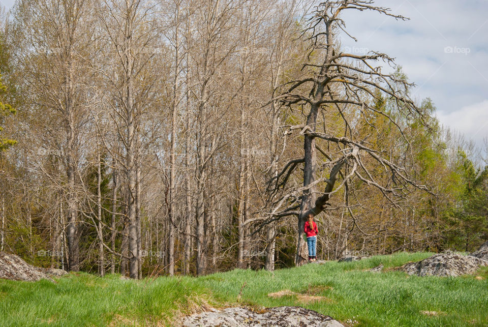 nature alone tree lonely by anrool