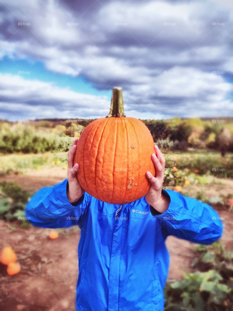 Pumpkin picking. Enjoying pumpkin picking 