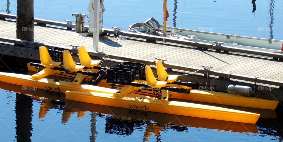 Yellow water boat in Alaska 