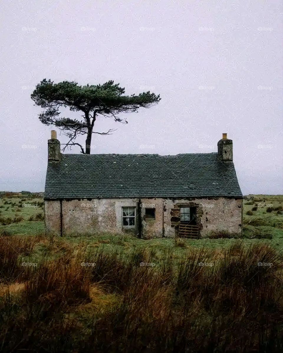 Glory be to God, the magnificent and picturesque view and the natural green trees are a view that is nothing more wonderful than it