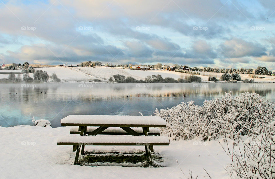 Bench near the river