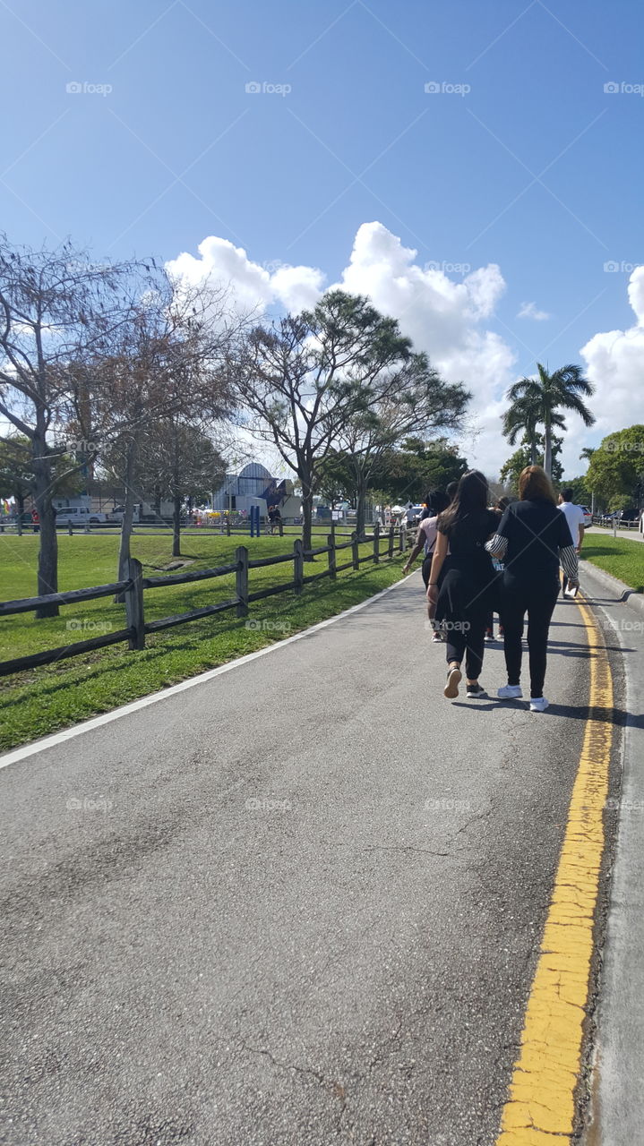 Road, Landscape, Guidance, Tree, Street