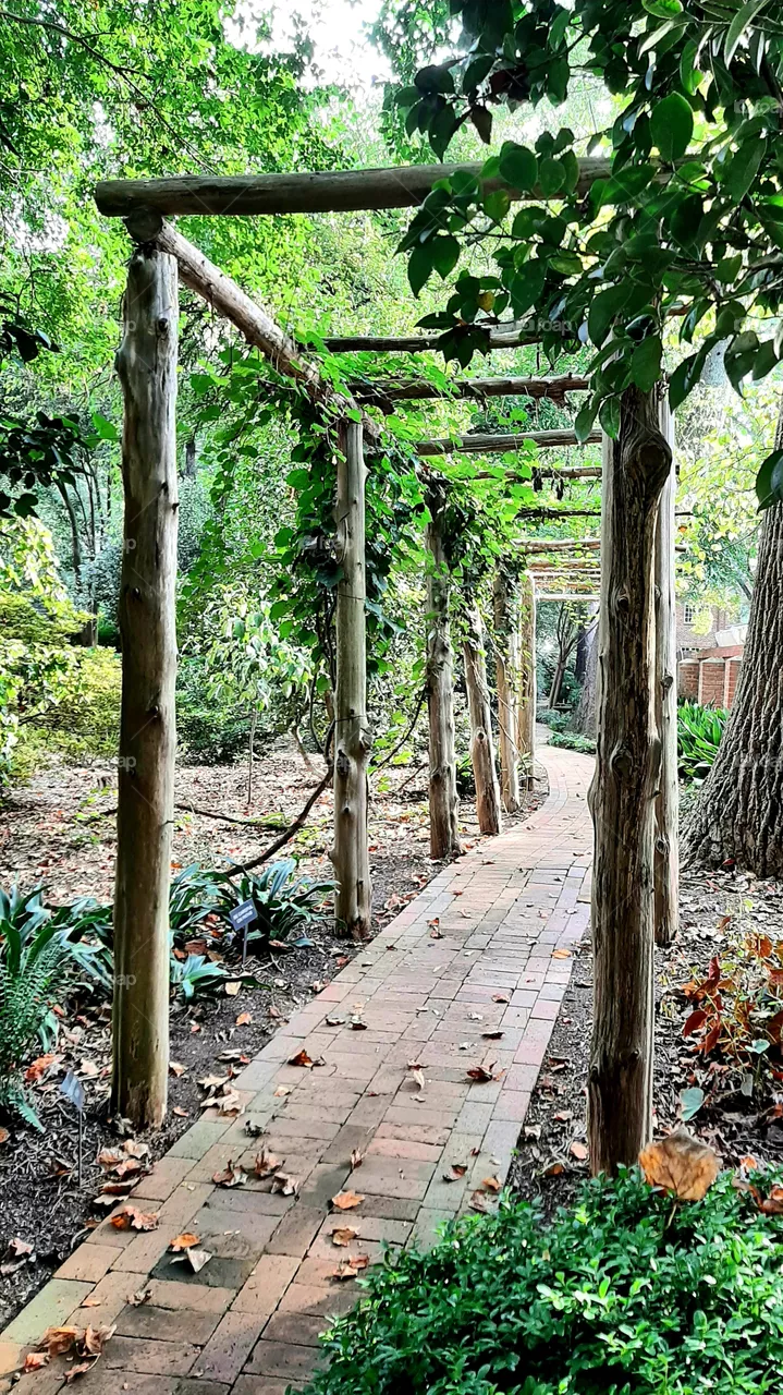 Arbors."Wing Haven "