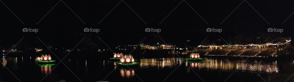 Illuminated flowers light up the surface of Discovery River during Rivers of Light at Animal Kingdom at the Walt Disney World Resort in Orlando, Florida.