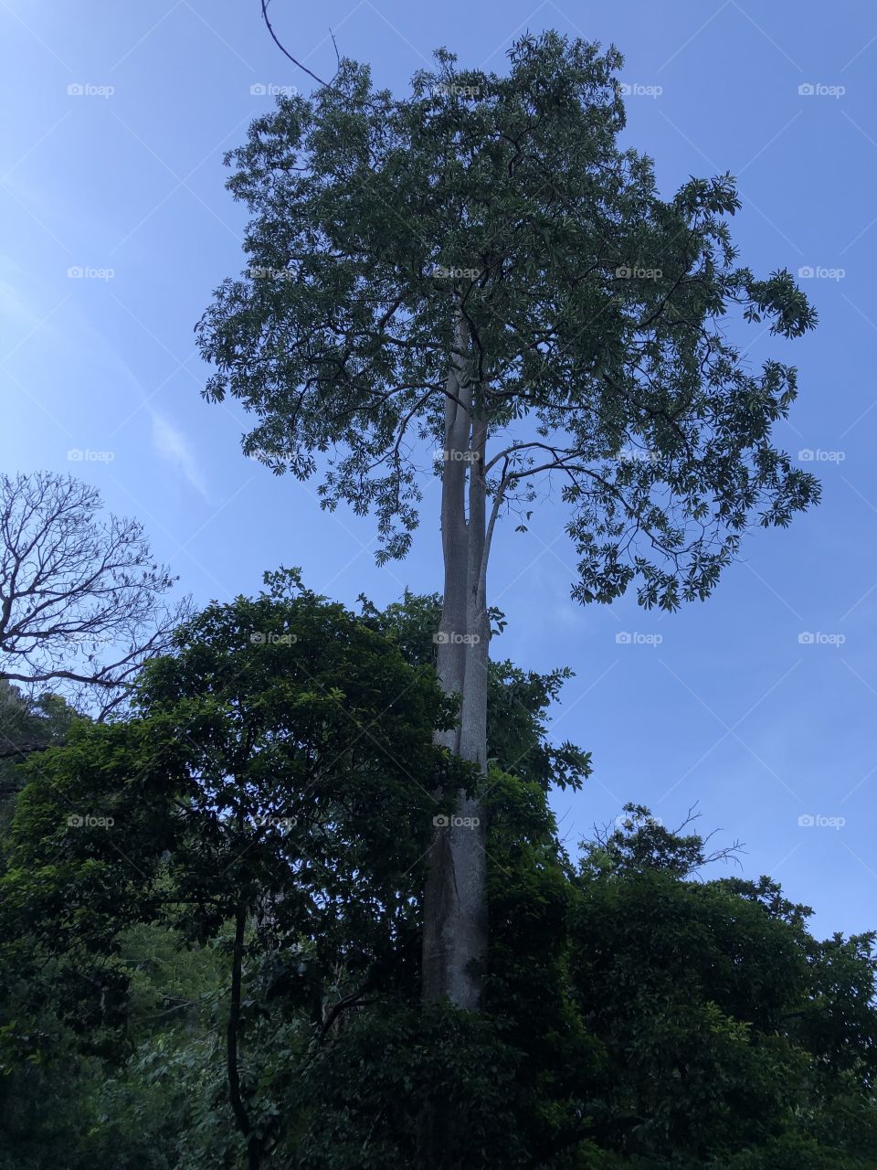 The stories of the nature , Countryside ( Thailand)