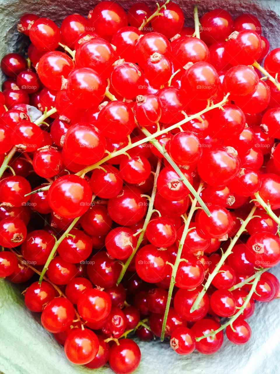 High angle view of gooseberries