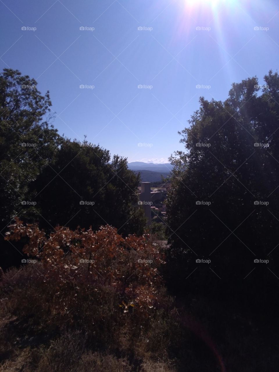 Best of 2021: Nature