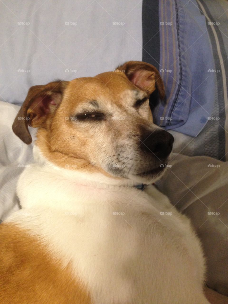 Leave me alone, I'm sleeping 