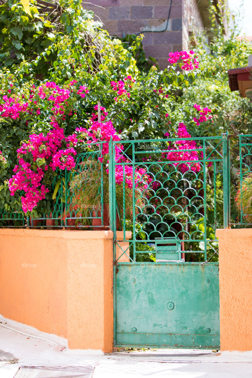 Front door of a traditional house