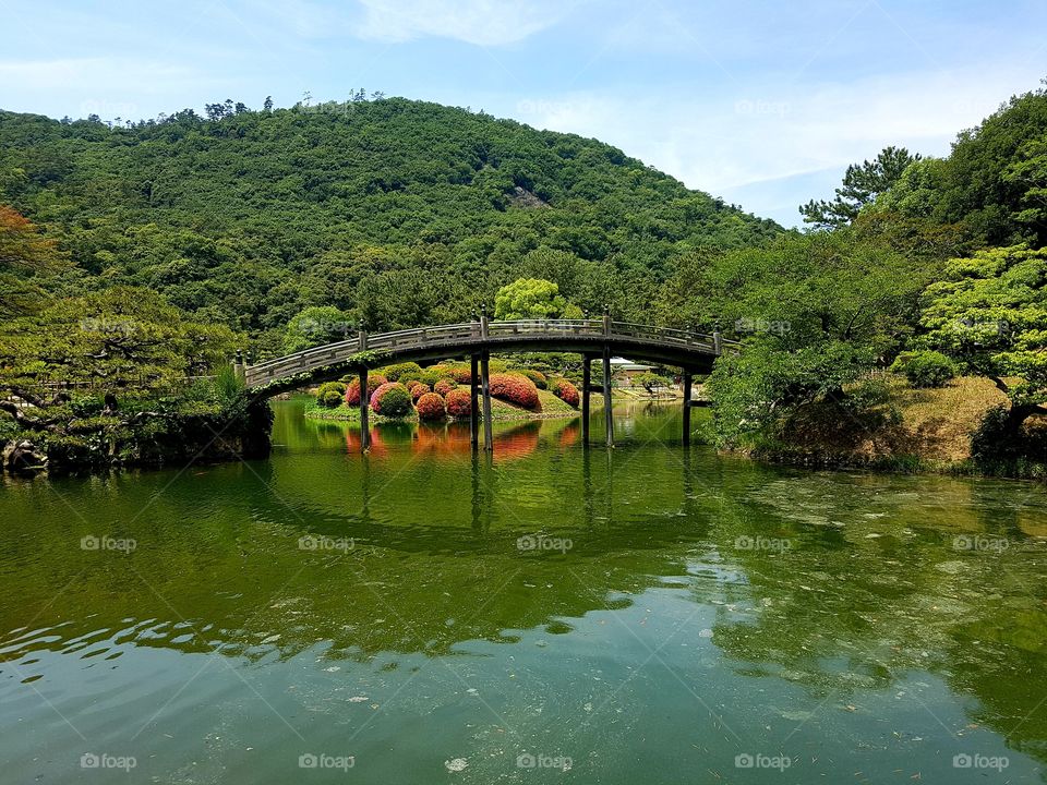 The famous bridge from Ritsurin Koen Japan
