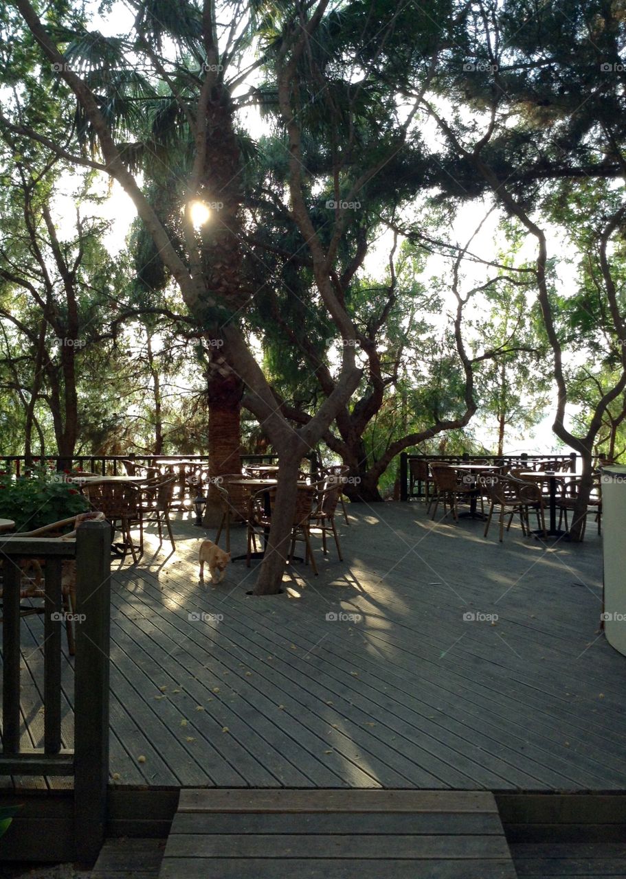 Summer terrace of a restaurant 