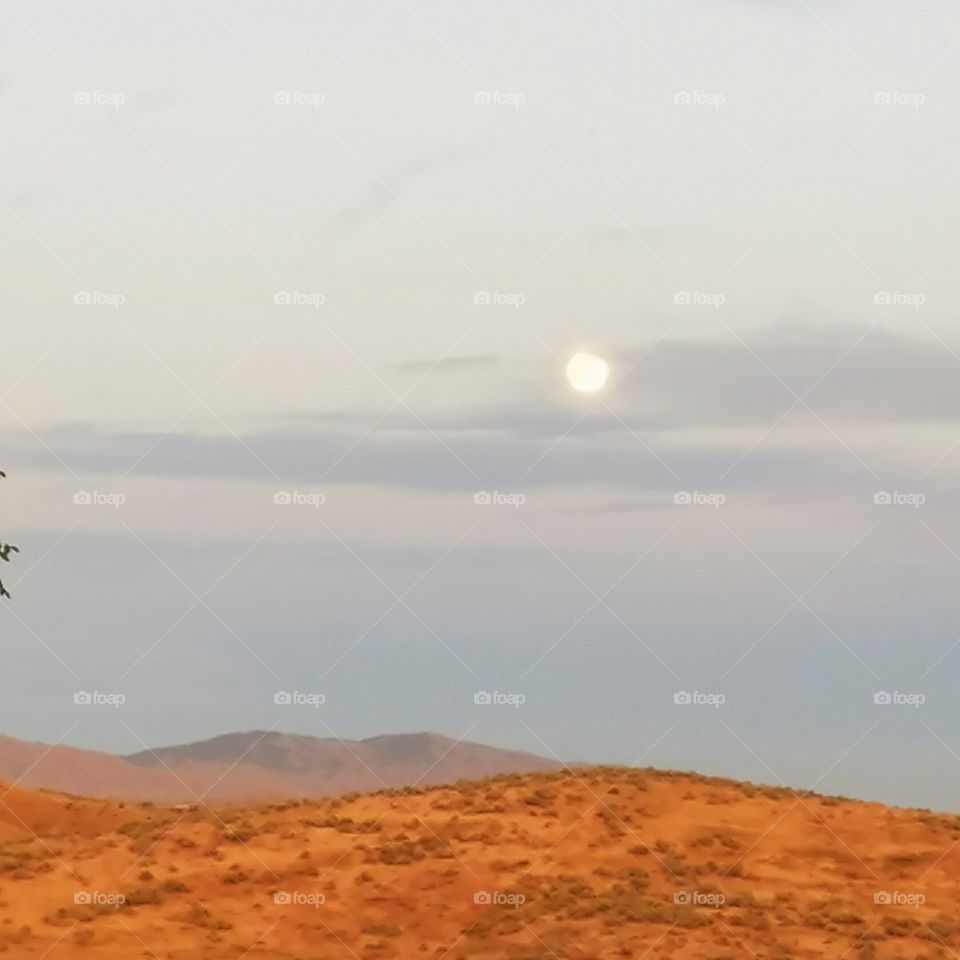 moon rising in the distance across the fields