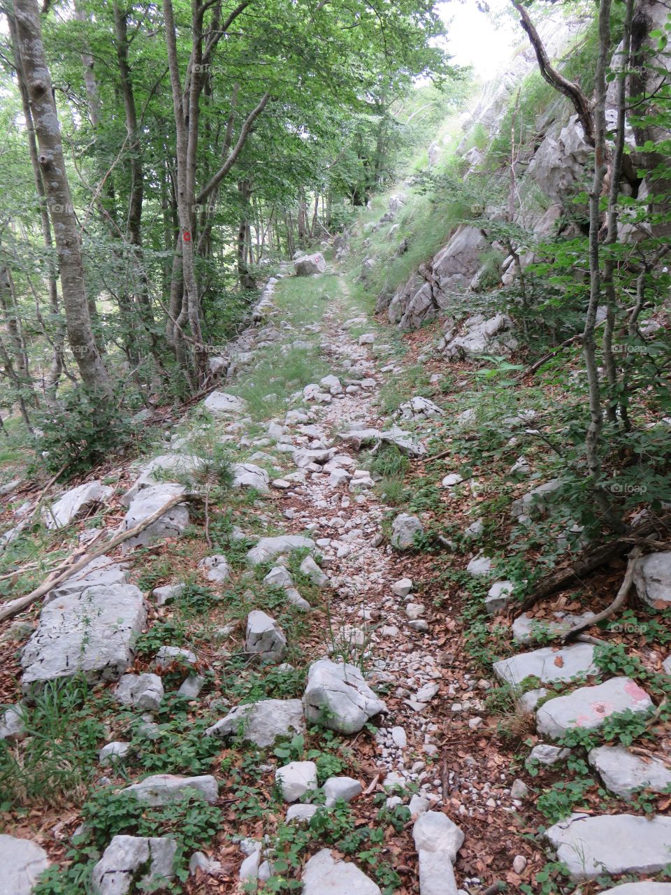 Mountain Orjen Montenegro remains of an old stone hiking trail