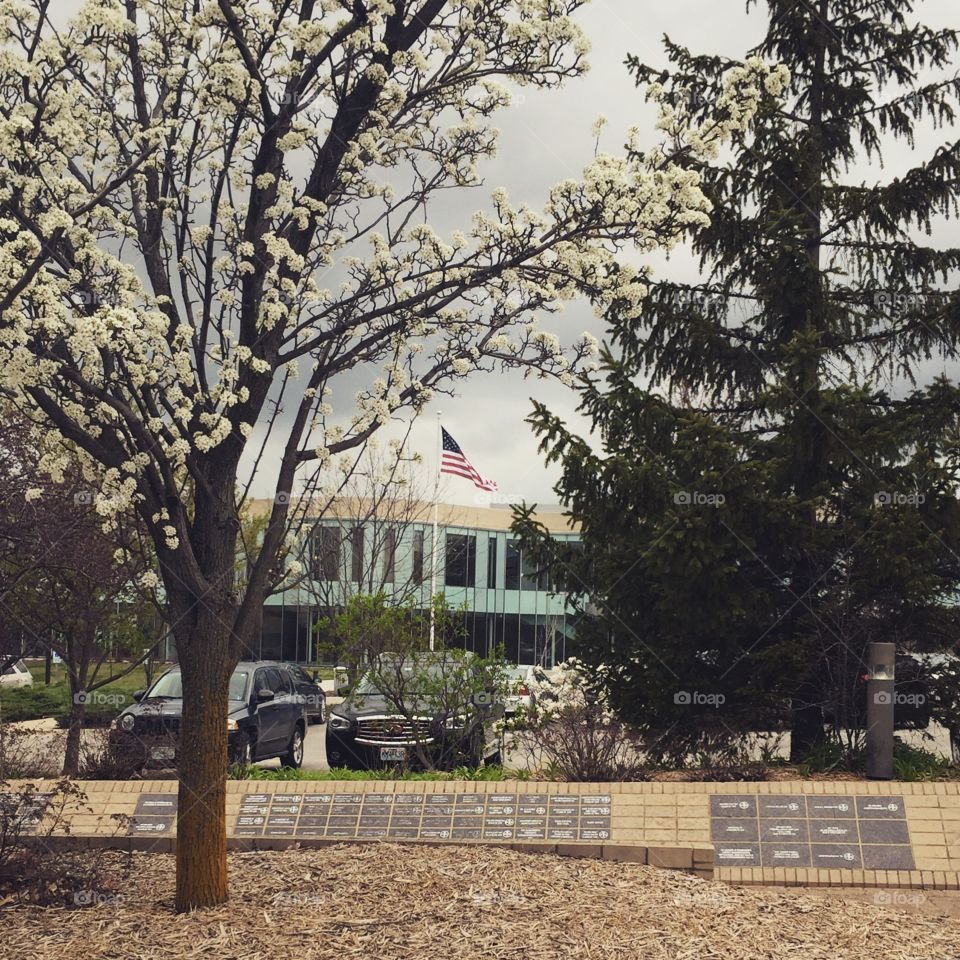 Springtime at AT Still University in Kirksville, MO.