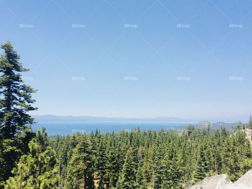 Open landscape with green nature and beautiful blue lake in Lake Tahoe