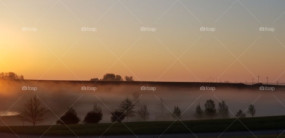 Daybreak Fog