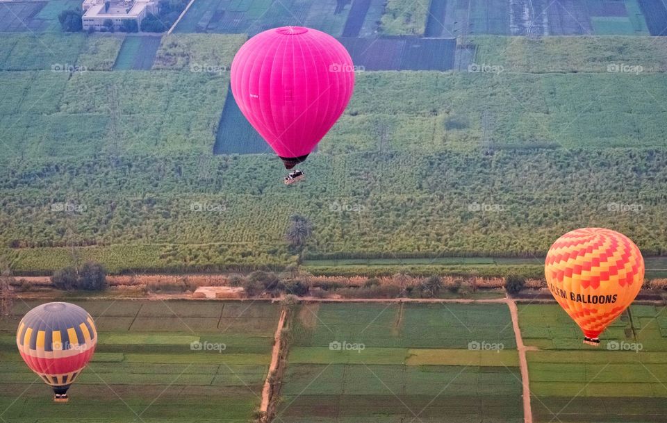 Balloon over plantation scene