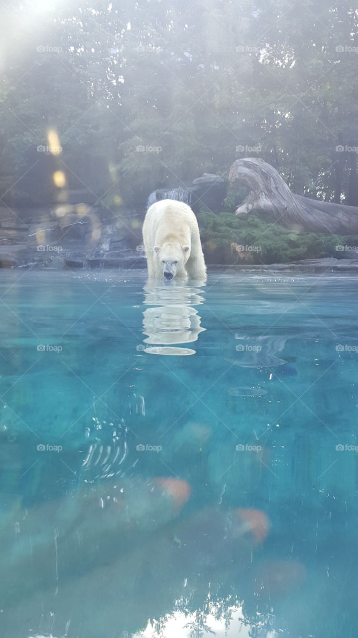 Water, Swimming, No Person, Dug Out Pool, Wet