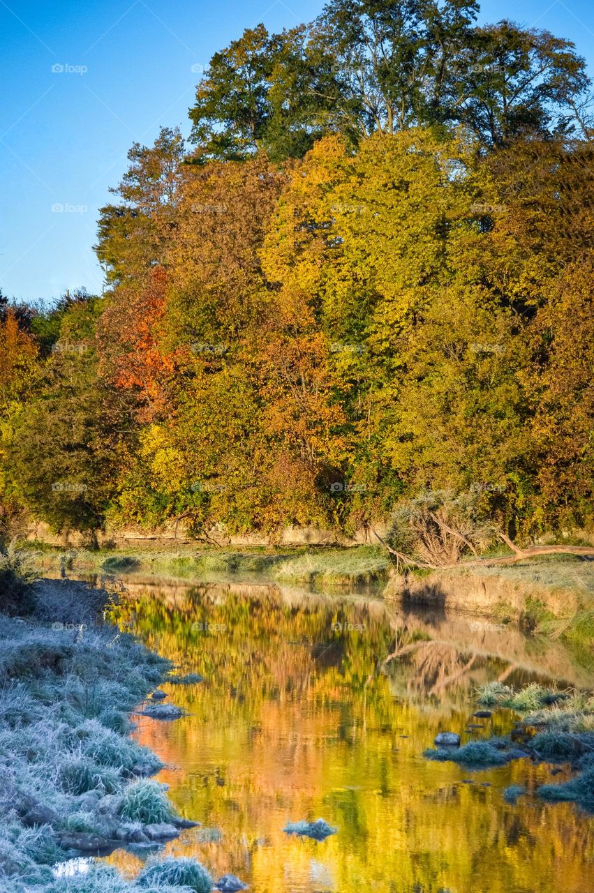 autumn trees reflecting on a narrow riverbed with frost covered banks and bright blue skies in october