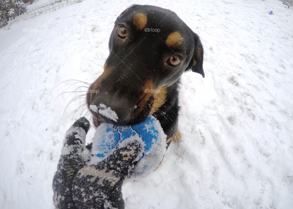 Playing with a ball outside 