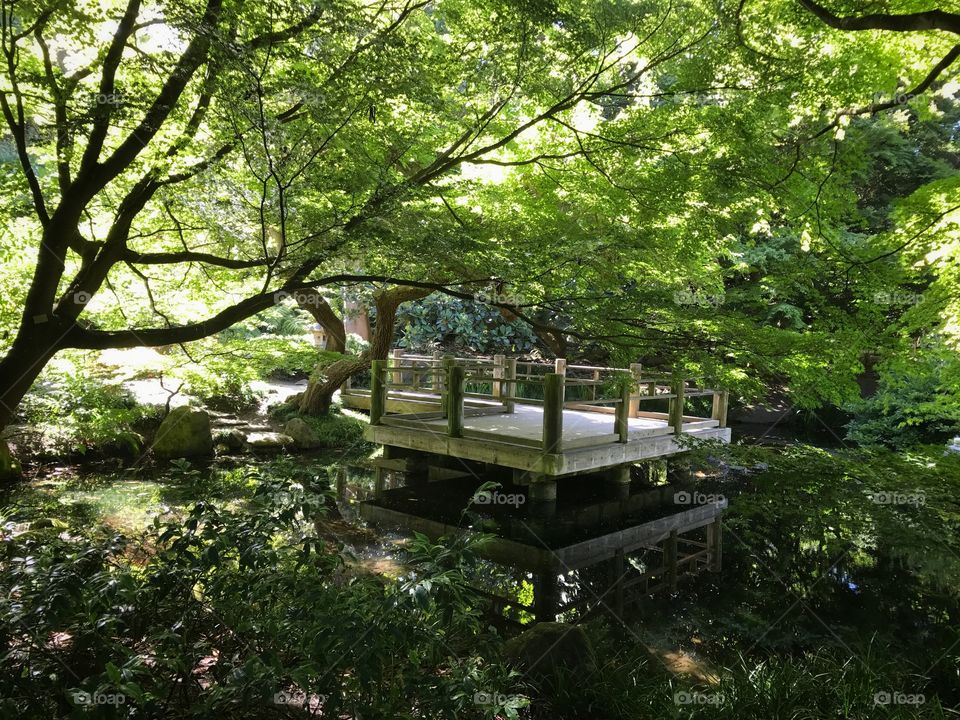 Inside Golden Gate Park 