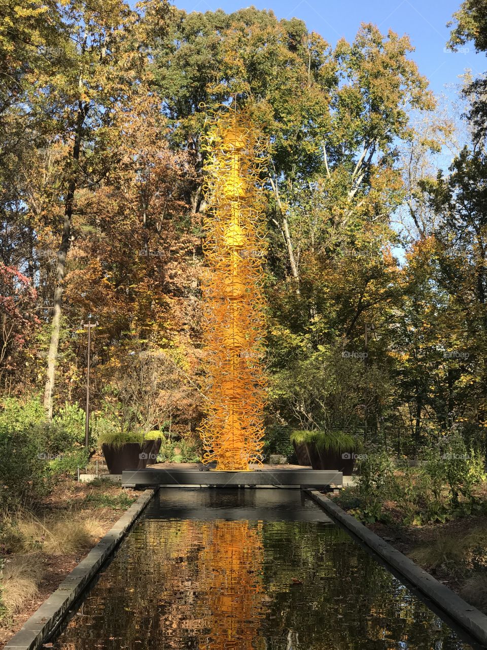 Atlanta Botanical Gardens | Atlanta, GA