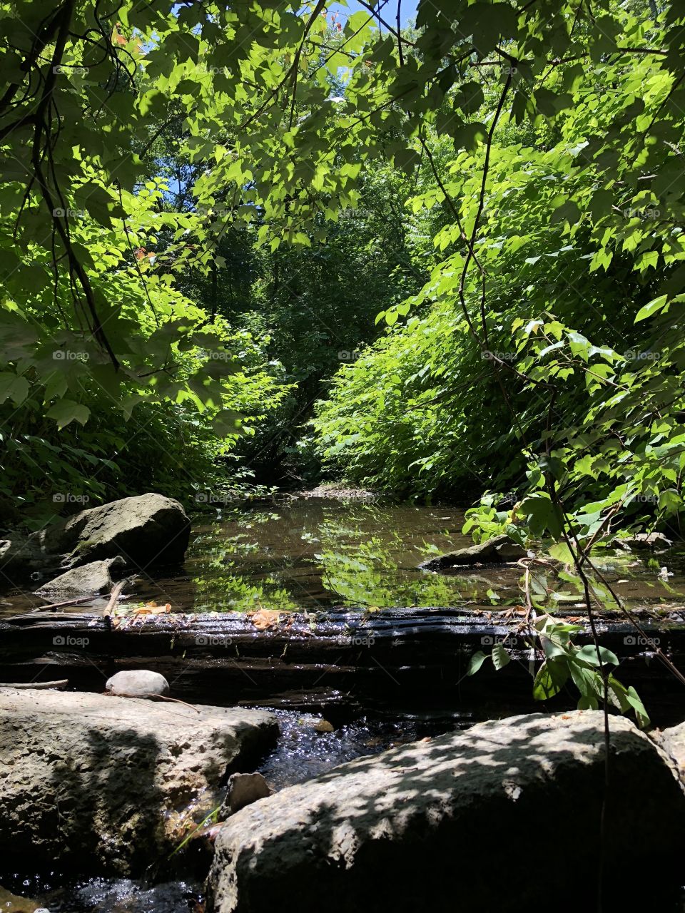 Peaceful creek ✌🏿