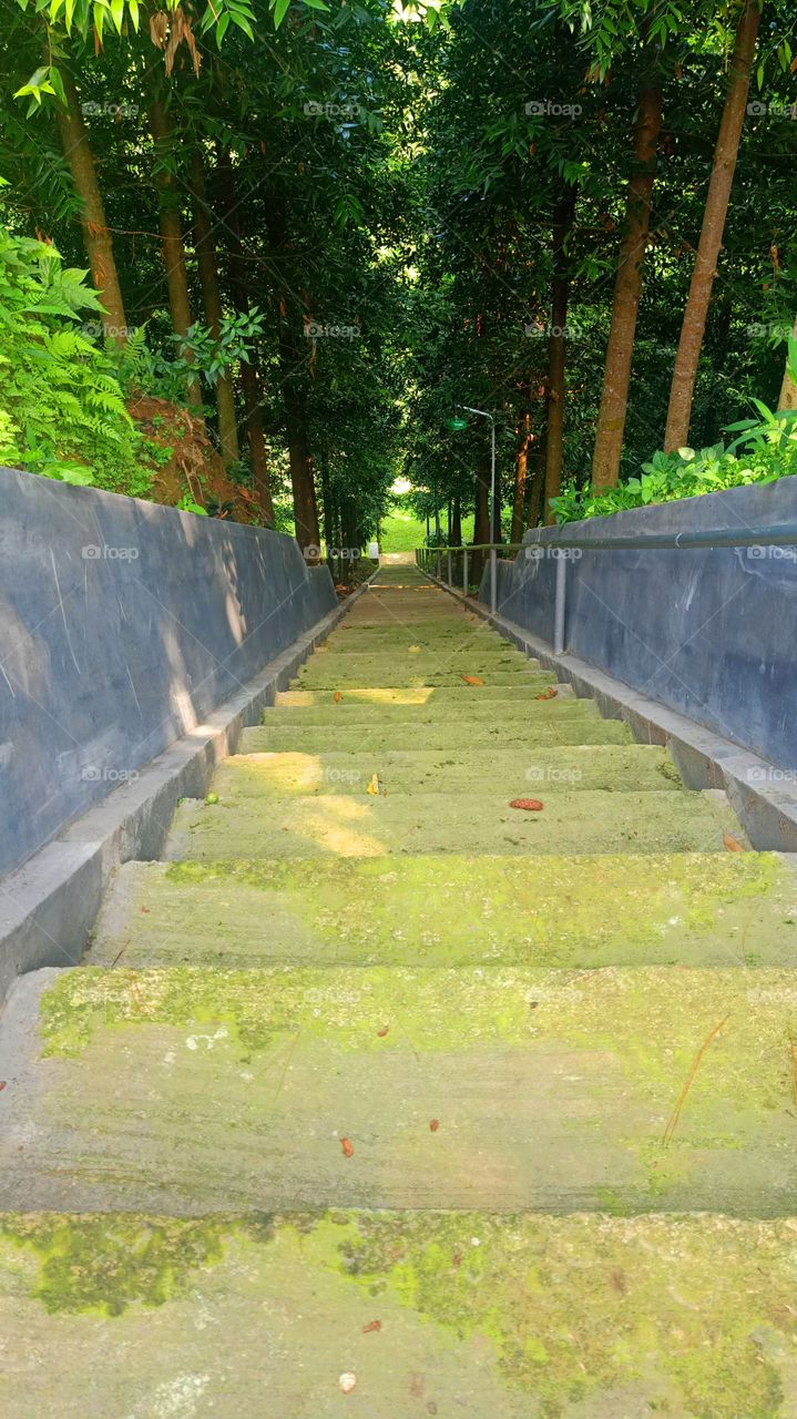 stairs path