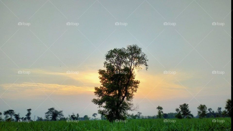 "Every sunset brings the promise of a new dawn."