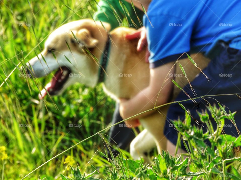 Boy With Loyal Dog