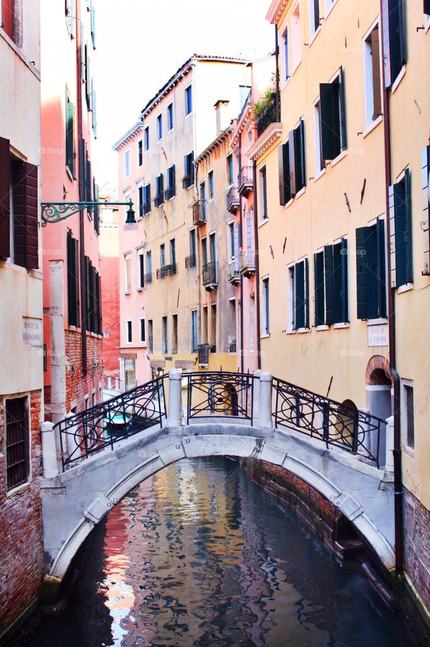 Venice colors 
